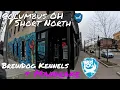 Columbus OH Short North BrewDog Kennel Mandrakes Weekend Getaway