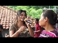Download Lagu Hadirmu Bagai Mimpi - Gladis Oktaviany - Edi Remaja Live Desa Gadel Sarag Tukdana Indramayu