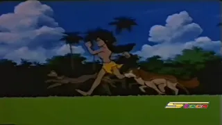 ماوكلي فتى الأدغال شارة البداية  مسلسل أنمي إنتاج ياباني  دندنها
