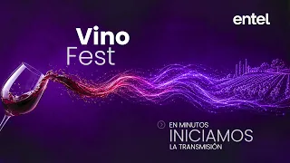 CONECTANDO EL VINOFEST CON EL MUNDO 2026