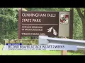 Second beaver attack prompts more closures at Cunningham Falls State Park