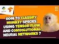 Tensorflow CNNImage Classification Tutorial monkey species classification Part 2