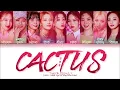 TWICE CACTUS Lyrics (트와이스 선인장 가사) (Color Coded Lyrics)