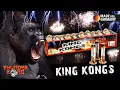 Download Lagu King Kongs - 03828  |  CAT F2  |  Official video MP3