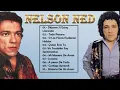 Download Lagu NELSON NED \