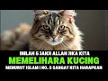 Download Lagu 5 Janji Allah Bagi Yang Suka Memelihara Kucing Menurut Islam, No. 5 Paling Diharapkan