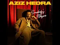 Somebody's Pleasure - Aziz Hedra