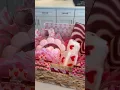 Valentine s Day basket for mom