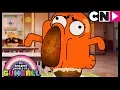 Gumball | Darwin's Potato Diet | The Potato | Cartoon Network