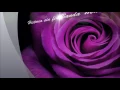 Historia sin fin-Banda Machos(Letra)(Bandas Del Ayer)