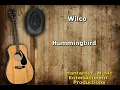 Karaoke - Hummingbird - Wilco