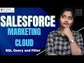 Salesforce Marketing Cloud SQL Query and Filter Salesforce Marketing Cloud CloudFoundation