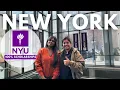 100 Scholarships for International Students at New York University Road to Success Ep 14