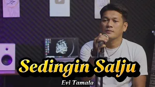 sedingin salju evi tamala cover slow pop version by zanca