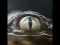 Download Lagu Joji - Glimpse of Us (1 HOUR)