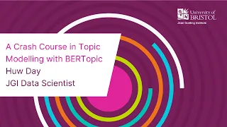 A Crash Course in Topic Modelling with BERTopic