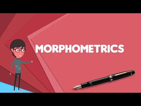 Download MP3 What is Morphometrics? Explain Morphometrics, Define Morphometrics, Meaning of Morphometrics