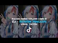 Download Lagu DJ Senam Pinguin Viral TikTok 2025 🔥 | Sound Yang Kalian Cari !!! DJ Remix Terbaru Full Bass