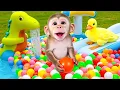 Download Lagu BiBi Monkey and Duck Play in Colorful Ball Pit - MONO BIBI ESP