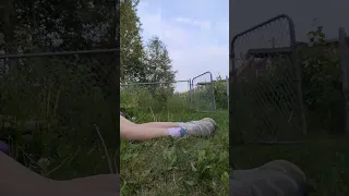 Wrong Decision Fairies Rp Fairy Roleplay Flying Fairygirl Fairyhunter Fyp Fypシ 