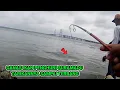 Download Lagu IKAN PENGHUNI SURAMADU MAKIN GANAS | @matakailsurabaya