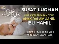 Surat LUQMAN Untuk Perkembangan Kecerdasan Otak Janin dalam Kandungan Ibu Hamil - Kuntriksi Ellail