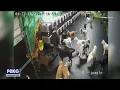 Milwaukee dog daycare takes heat over social media s FOX6 News Milwaukee