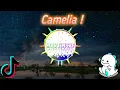 Download Lagu DJ Camelia (Cover Chika Lutfi) Slow Remix TikTok FULL BASS
