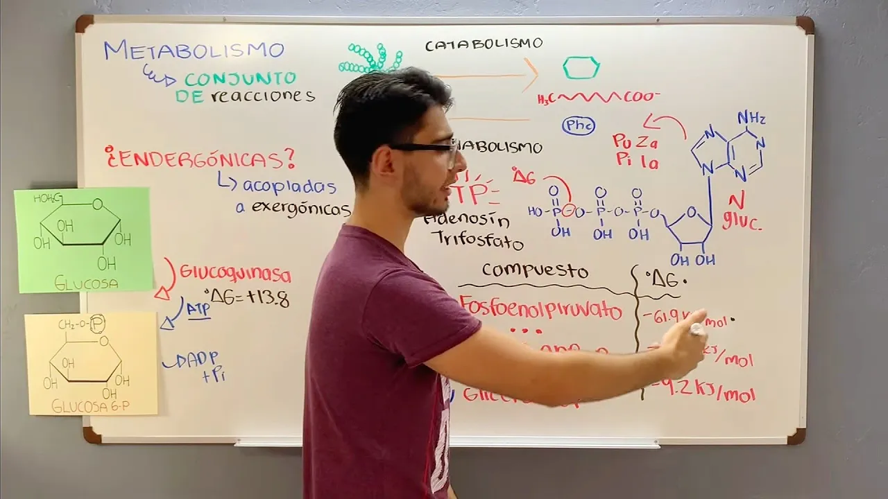 BIOENERGÉTICA: Generalidades, energía libre de Gibbs y reacciones