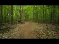 Red Trail to White Oak Ridge Loop ASMR Virtual Hiking