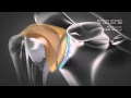 Download Lagu Shoulder Stabilization