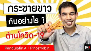 สารใดในกระชายขาวที่มีฤทธิ์ต้านโควิด-19 ได้ดีในหลอดทดลอง
