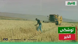 الرئيس السيسي يطلق إشارة بدء حصاد القمح من توشكى وبشرى سارة من الحكومة بشأن السلع الغذائية 