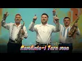 Download Lagu Fane Banateanu si Petrica Nicoara - România-i Țara mea 🇷🇴