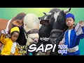 Download Lagu DJALU \u0026 DZAKY - SAPI (Official Music Video)