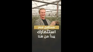 مستقبل مصر   استثمارك يبدأ من هنا دندنها