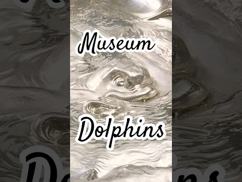 The V&A Dolphin Collection 🐬