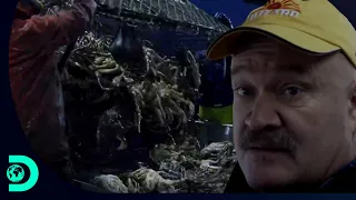 Jake Anderson precisa de 10.147 centollas para bater a meta | Pesca Mortal | Discovery Brasil