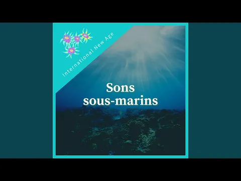 Download MP3 Sons sous-marins