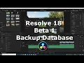 Resolve 18 Beta Backup Database