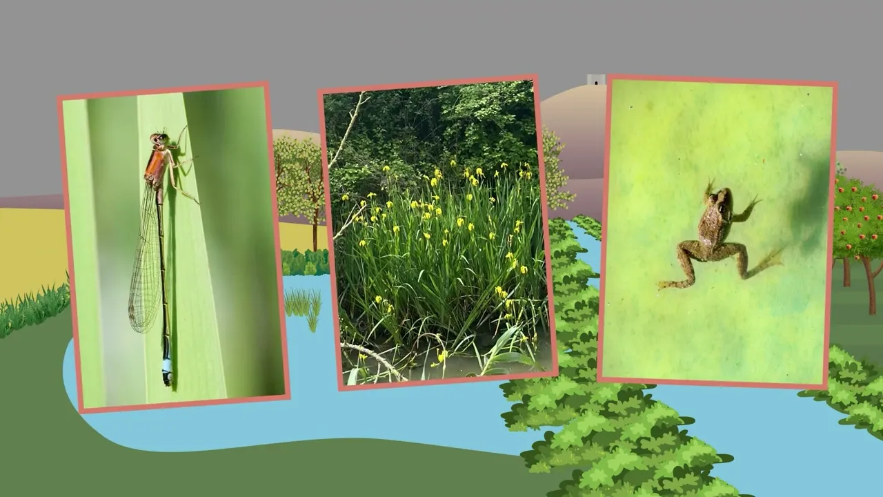 Explicació del projecte HidroNet Baix Ter a través d'una animació amb gràfics en moviment