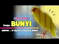 Download Lagu Kenari BELAJAR Bunyi❗ Suara PANCINGAN KENARI Paud Belajar BUNYI Ngeriwik | MASTERAN Kenari PAUD #471