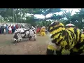Download Lagu Macan caplok Barong lancing purwo pangestu