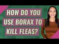 How do you use borax to kill fleas