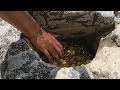 Download Lagu I Opened the Treasure Vaults! What I Experienced Afterwards Was It a Talisman or Nature?