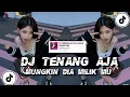 Download Lagu DJ TENANG AJA MUNKIN DIA MILIK MU X KANAN KIRI MUSKURANE VIRAL TIKTOK FULL BASS || Elthon Rihy🎶