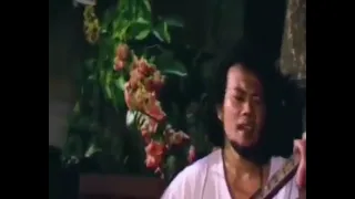 rhoma irama berkelana