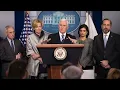 WATCH U S VP Mike Pence holds a White House briefing with diagnostic lab CEOs on coronavirus