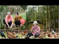 Download Lagu Pluimvee houden in de bergen: kippen, eenden en voorbereidingen voor een bezoek aan mama