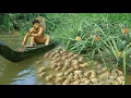 Download Lagu Strong man , Pineapple and frog